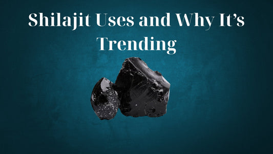 Shilajit Uses — Benefits, Daily Wellness, and Why It’s Trending